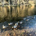 Waterfoot Park Пули-Бридж