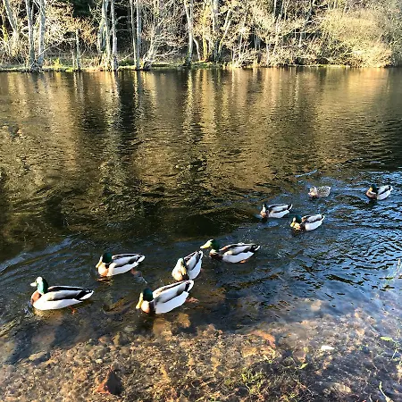Waterfoot Park プーリー・ブリッジ