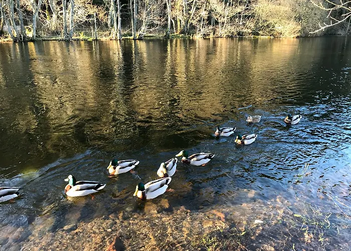 Waterfoot Park Pooley Bridge